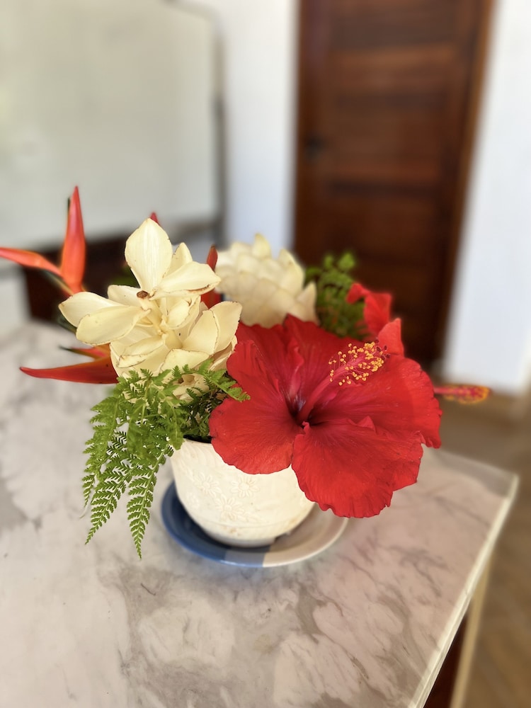 mg cocomo resort vanuatu