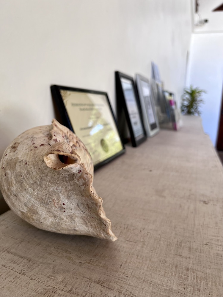 mg cocomo resort vanuatu