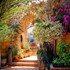 dream lodge siwa