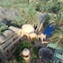 dream lodge siwa