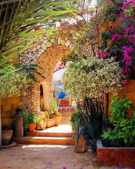 dream lodge siwa