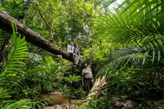 four seasons resort langkawi