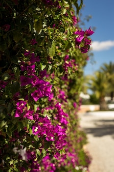 santa eulalia del rio