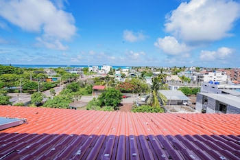 galapagos verde azul