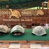 puerto ayora