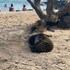 puerto ayora