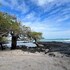 puerto ayora
