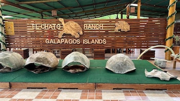 puerto ayora