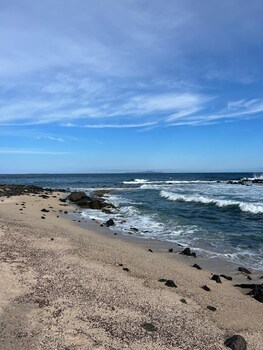 puerto ayora