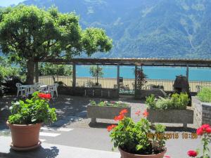 Boutique Hotel Alpina (Adults Only),Interlaken>>Bern,2 star