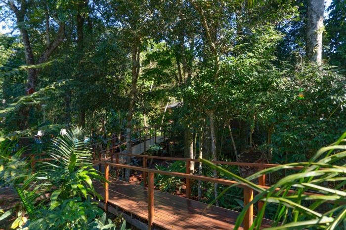 selva de laurel