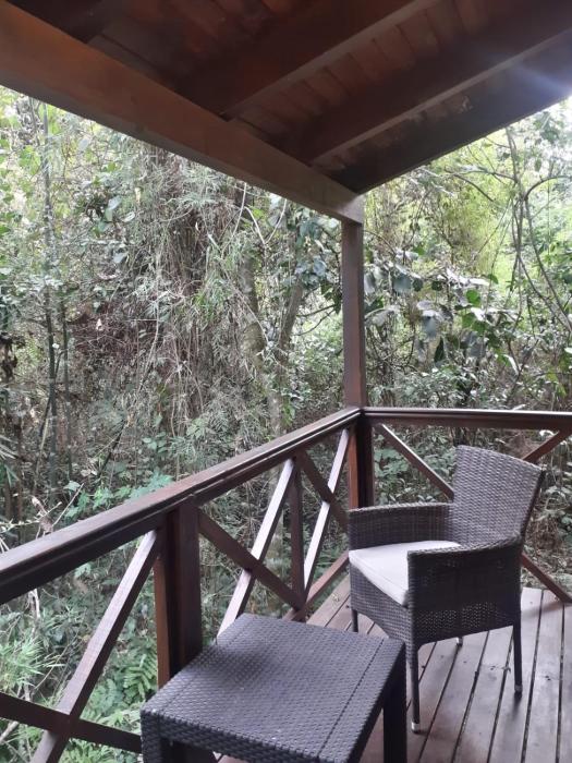 selva de laurel