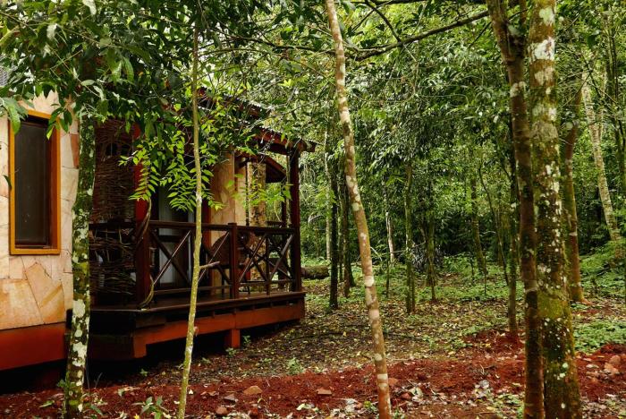 selva de laurel