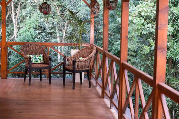 selva de laurel