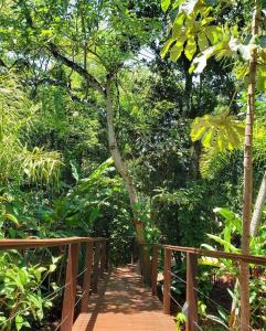 puerto iguazu