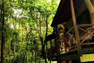 puerto iguazu