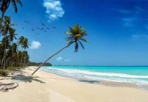 Mangro Hotel Diani Beach,Gazi>>Diani Beach,3 star