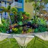 coral inn boutique resort