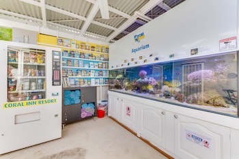 coral inn boutique resort