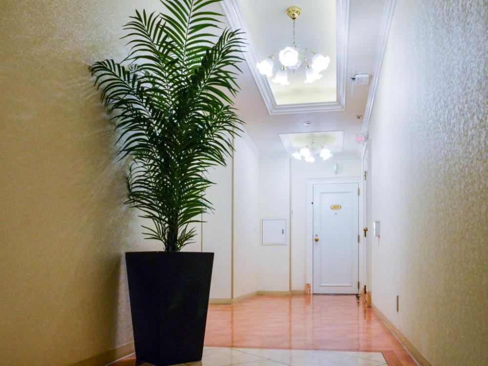 fine garden sakai adults only