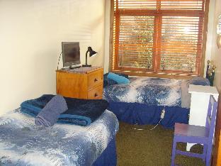 big tree lodge methven hostel