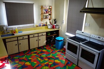 big tree lodge methven hostel