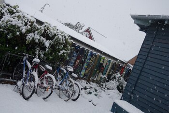 big tree lodge methven hostel