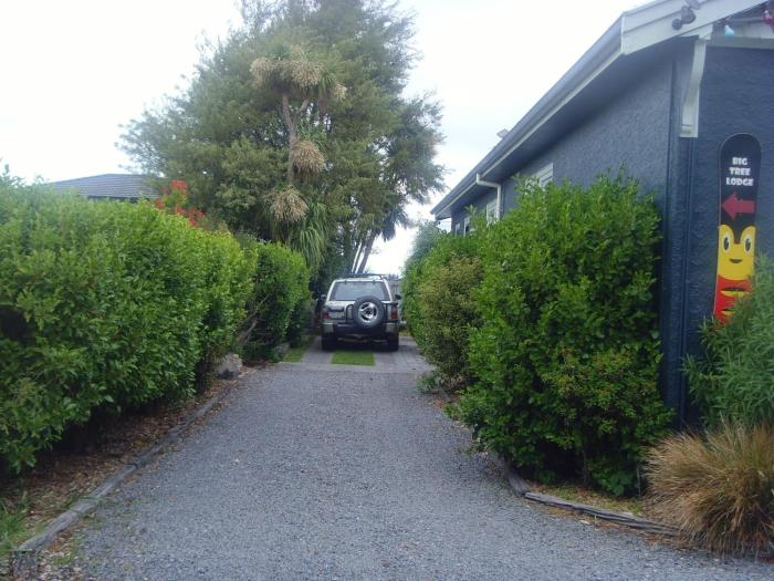 big tree lodge methven hostel