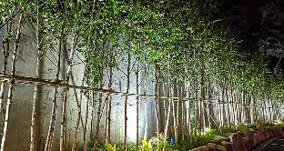 cheongju namoo hotel