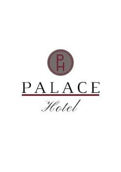 palace hotel mendoza