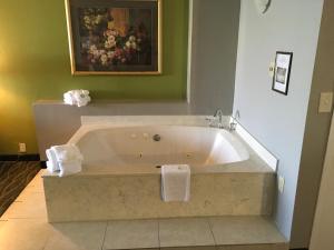 quality inn and suites winter park village area