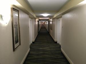 quality inn and suites winter park village area
