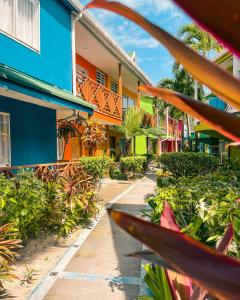 cocoplum beach hotel