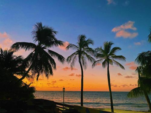 cocoplum beach hotel