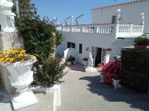 villa natalina