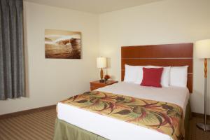 romer house waikiki adults only