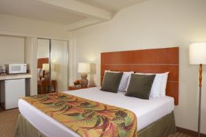 romer house waikiki adults only