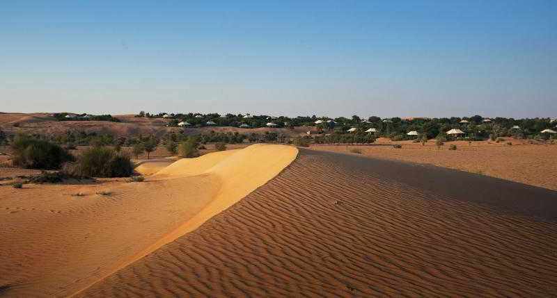 al maha a luxury collection desert resort and spa dubai adults only