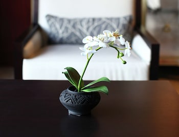 Hilton Garden Inn Des Moines Airport,Des Moines>>Altoona,3 star
