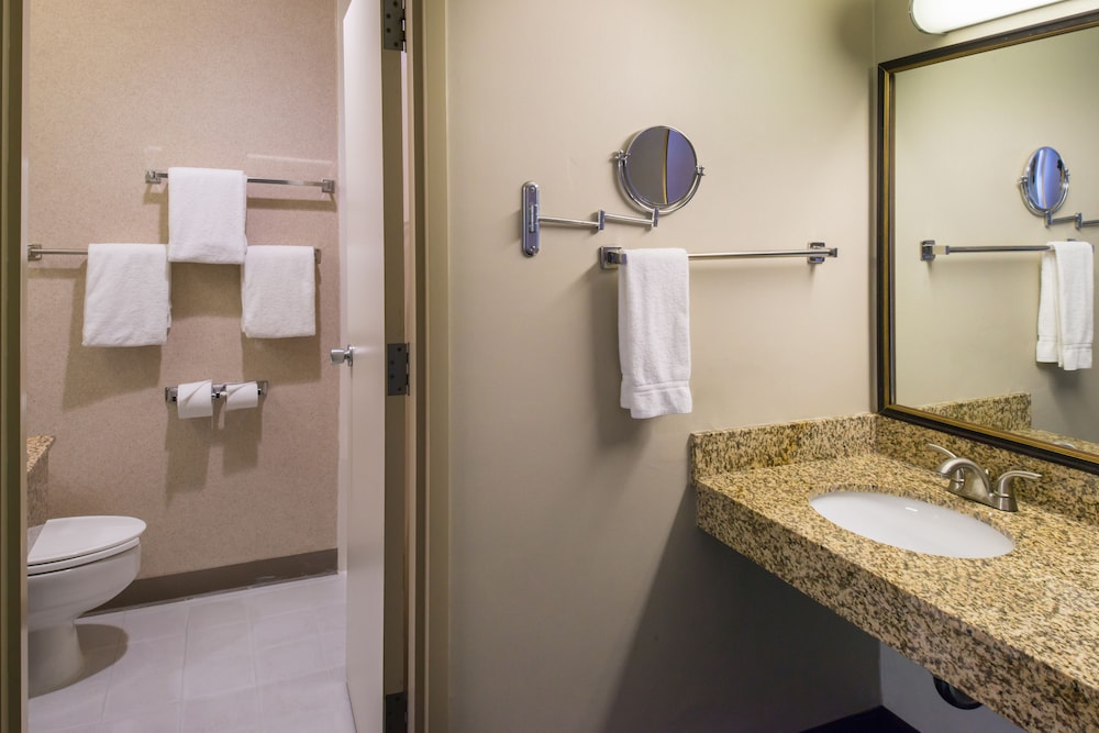 holiday inn dublin pleasanton by ihg