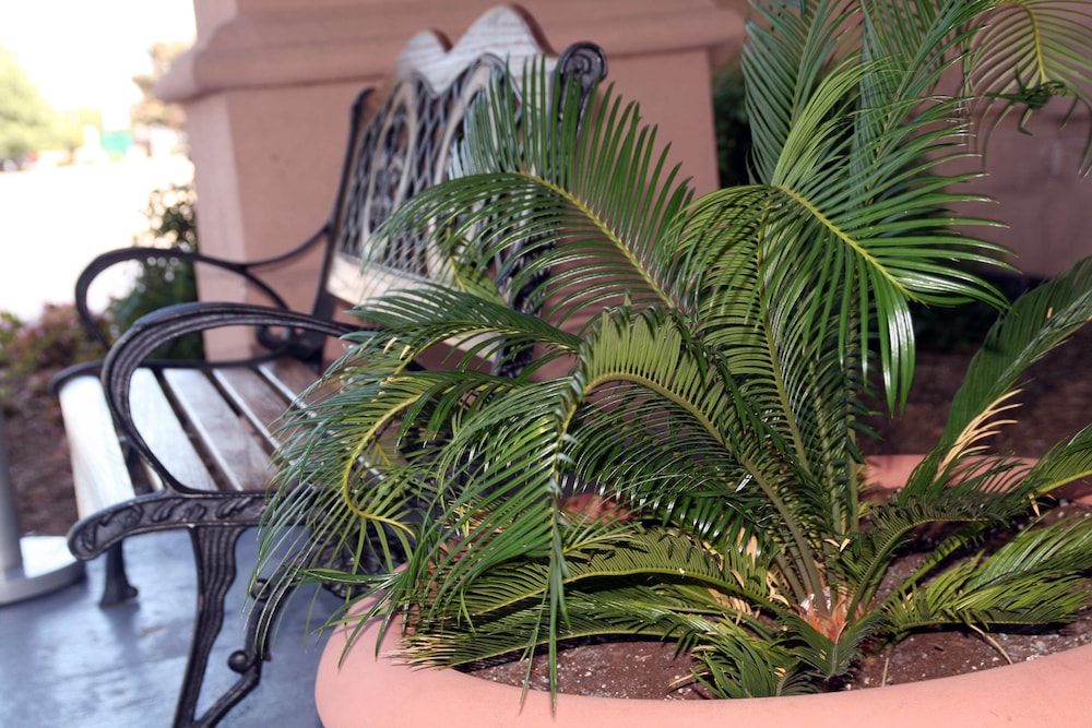 hampton inn newport news yorktown