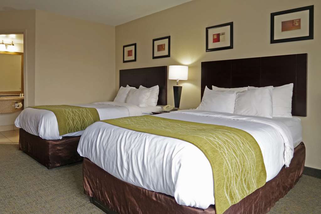 comfort inn and suites southwest fwy at westpark