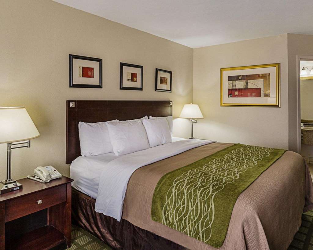 comfort inn and suites southwest fwy at westpark