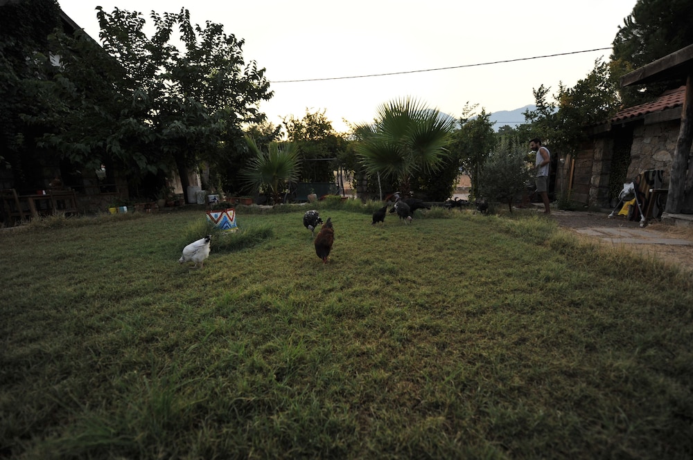 koyevi olympos countryhouse