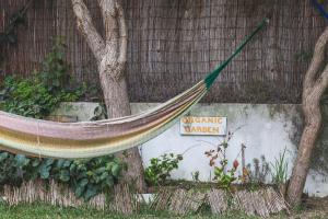 ericeira chill hill hostel and private rooms