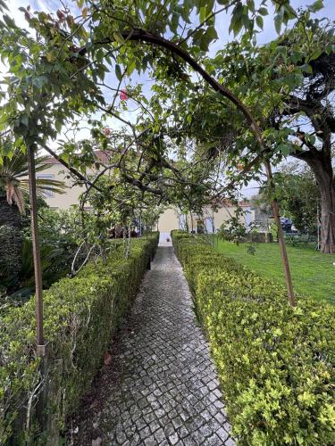 sintra