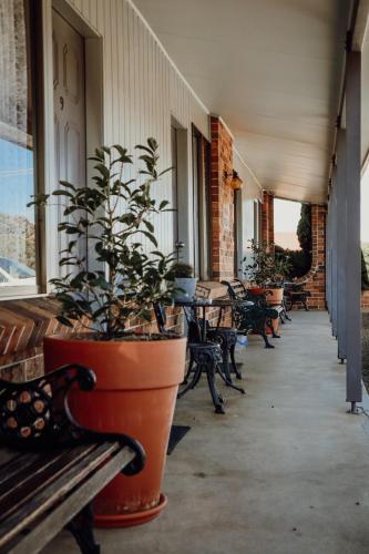 denman motor inn