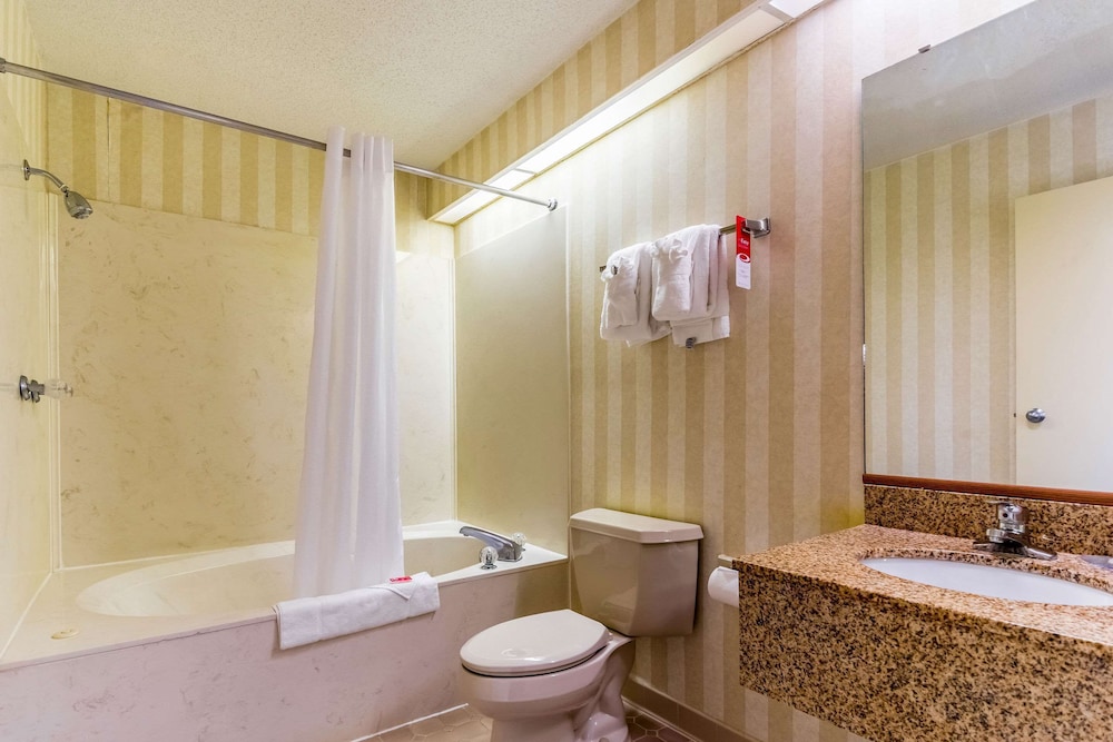 econo lodge whiteville
