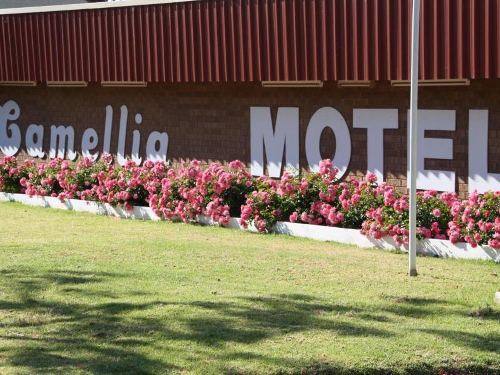 camellia motel