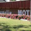 camellia motel